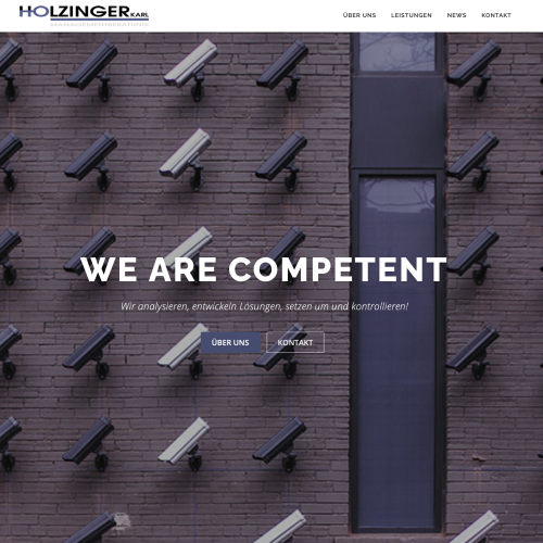 Screenshot of Holzinger Managementberatung's website